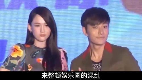 娱乐圈的血雨腥风,血雨腥风背后的真相与较量