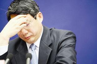 汉邦资料,探寻历史脉络，解读文化瑰宝