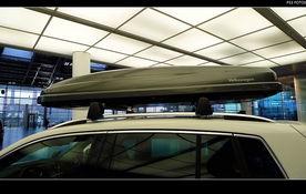 nemo的资料,Nemo的奇幻海底之旅