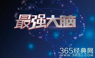 最强大脑背景,天才选手的脑力极限挑战与科学解码