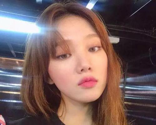 网红李圣经